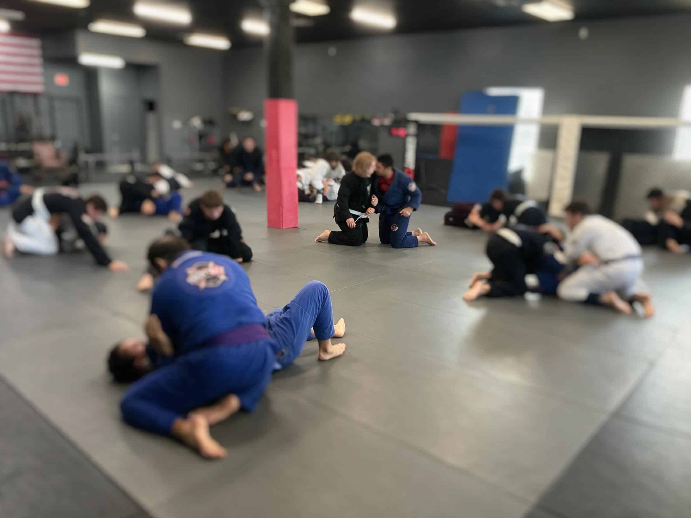 A full class of students training.