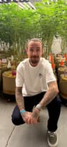 Lucas Braly, Tattoo Artist 